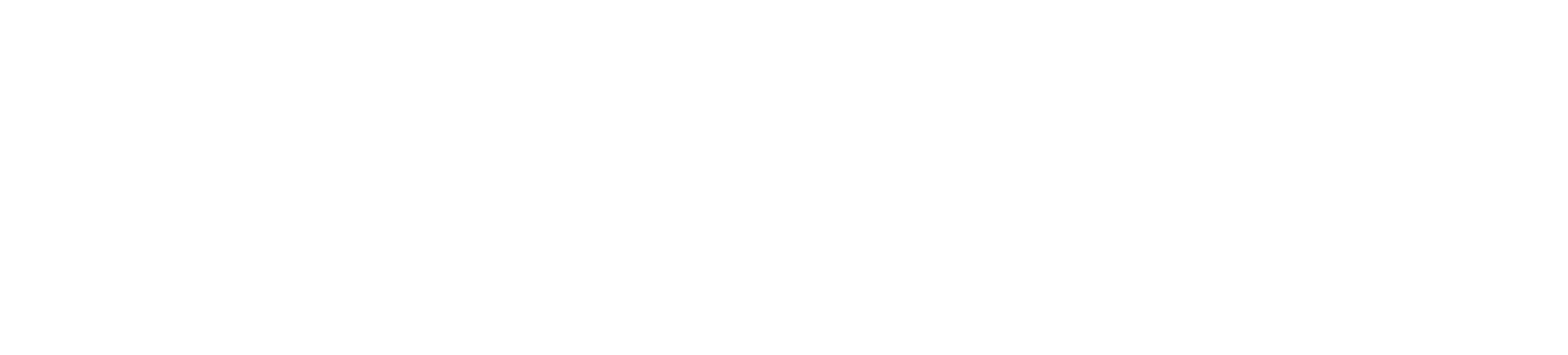 Cash Hunters